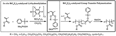 B C F Catalyzed Group Transfer Polymerization Of Alkyl Methacrylates