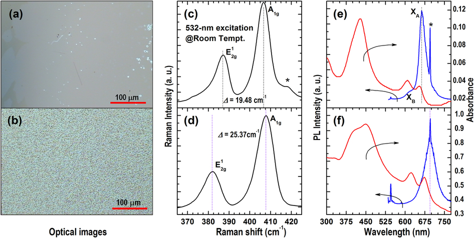 dispersive growth and laser-induced rippling of large-area