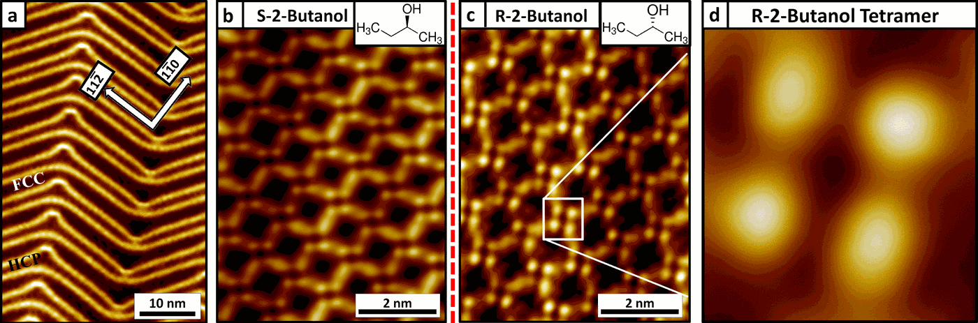 the interplay of covalency, hydrogen bonding, and