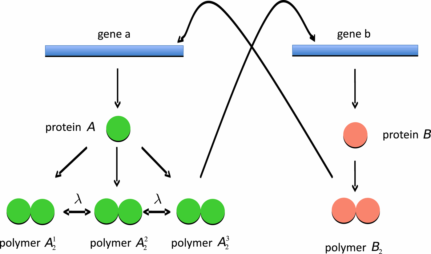 transitions in genetic toggle switches driven by