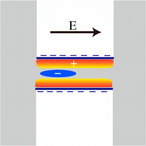 The Journal Of Physical Chemistry Letters X Mol