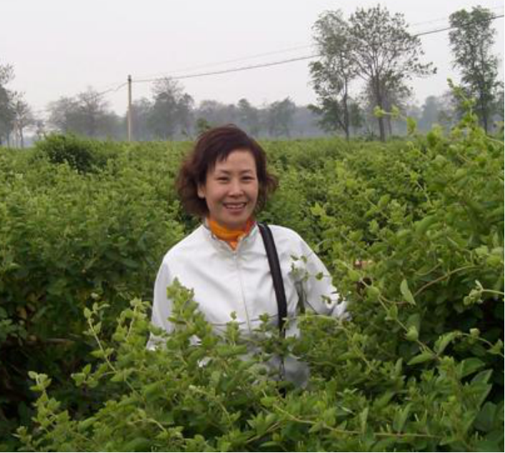 王淑美 
