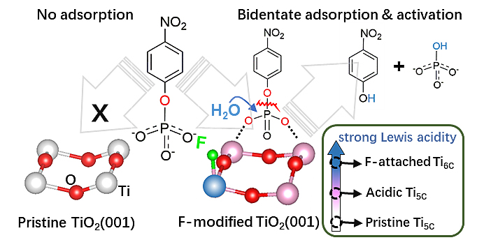 "钛"不一样:调控tio2表面钛原子的电子状态实现近室温活化去磷酸反应