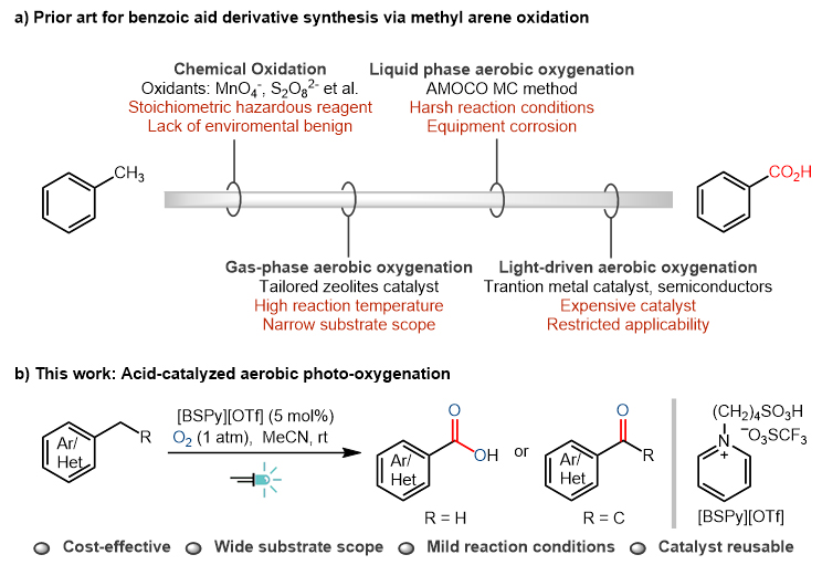 南京工业大学冯超与李玉峰课题组Green Chem Brønsted酸催化苄位碳氢键氧气条件下的光氧化反应 X MOL资讯