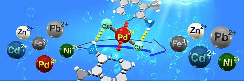 仿生钯纳米螯合器的设计