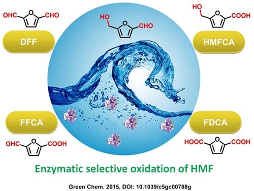 酶催化5-羟甲基糠醛(hmf)选择性氧化及基于深度共熔溶剂分离hmf和2,5