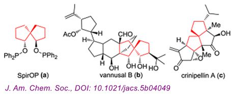 4]壬烷骨架广泛存在于手性催化剂和活性天然产物结构中,但到目前为止