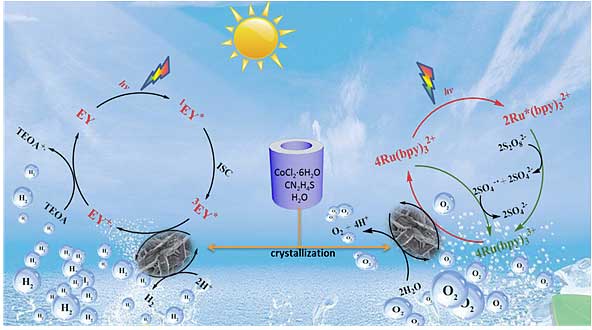 高效的催化剂硫化钴,通过 人工光合作用催化水分解产生氢气和氧气