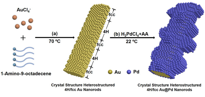 晶相异质结构的金钯纳米棒高活性的乙醇电化学氧化催化剂