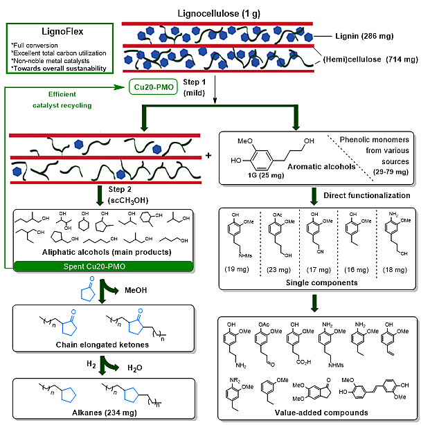 nature catalysis:木质纤维素的完全催化转化,制备精细化学品和燃料