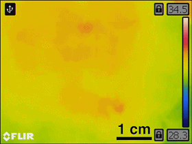 science不光能在红外线下隐身它还有更多妙用