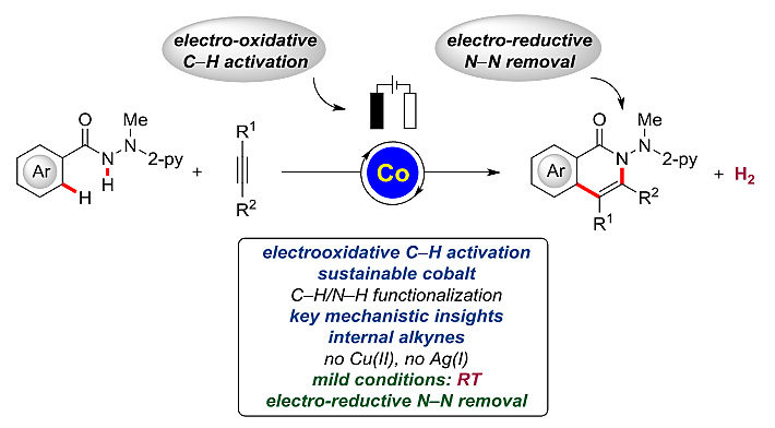 钴催化内炔参与的电化学氧化c-h/n-h键活化