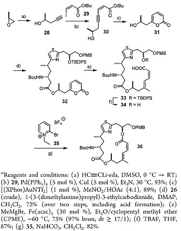 图8 吡喃酮片断合成及大环的构建.图片来源 j am chem soc.