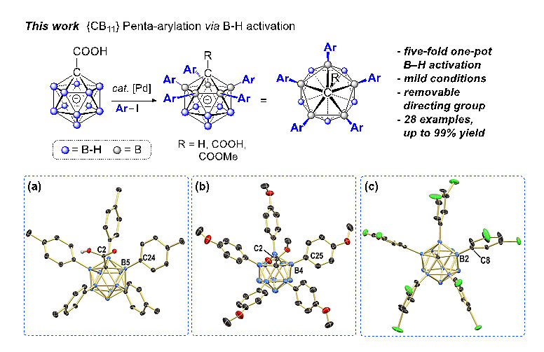 钯催化导向型b–h键活化的方法培育"碳硼烷花"