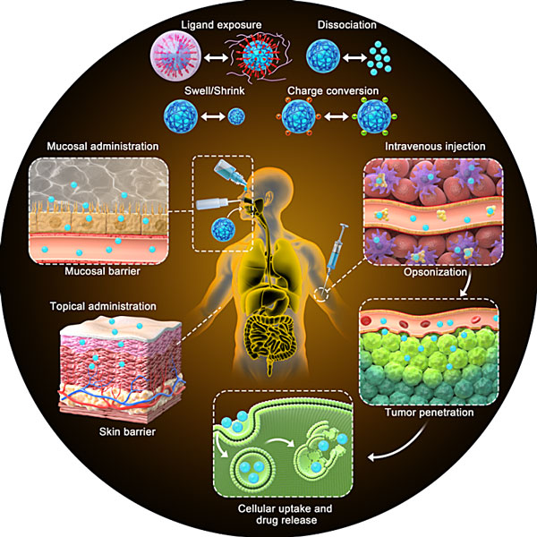 合理设计纳米凝胶用于克服各种给药途径中的生物屏障