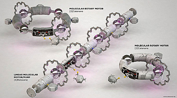 图3. 两种转动分子马达及一种线性运动分子泵示意图