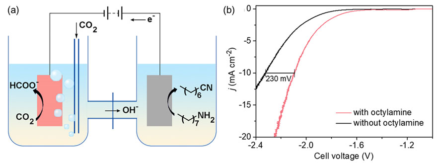 电化学原位重构形成的in/in2o3-x用于高效催化二氧化碳电还原