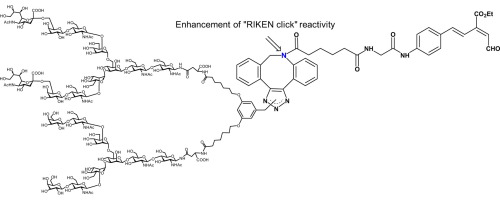 Highly Reactive Riken Click Probe For Glycoconjugation On Lysines Tetrahedron Lett X Mol