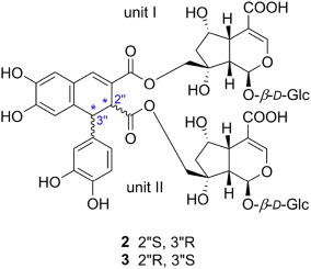 Two New Lignan Iridoid Glucoside Diesters From The Leaves Of Vaccinium Bracteatum And Their Relative And Absolute Configuration Determination By Dft Nmr And Tddft Ecd Calculation Tetrahedron X Mol