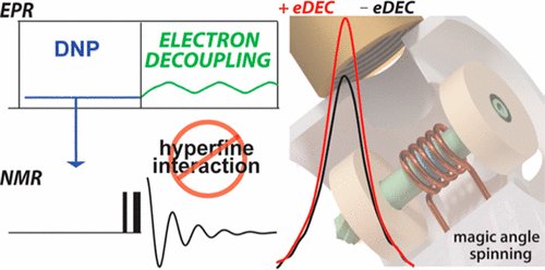 Electron Decoupling with Dynamic Nuclear Polarization in Rotating ...