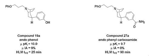 Discovery Of N Substituted Endo 3 8 Aza Bicyclo 3 2 1 Oct 3 Yl Phenol And Phenyl Carboxamide Series Of M Opioid Receptor Antagonists Bioorganic Medicinal Chemistry Letters X Mol