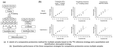 A comparative proteomics method for multiple samples based on a 18O ...