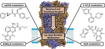 Cys R Group Progress in the discovery of small molecule modulators of the Cys-loop ...
