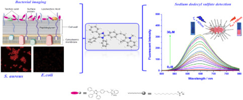 A novel water soluble multifunctional fluorescent probe for highly ...