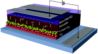 Extrinsic ion migration in perovskite solar cells,Energy ...