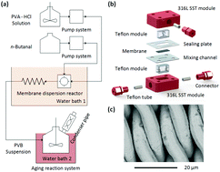 Reprocess Pvb Highly efficient synthesis of polyvinyl butyral (PVB) using a membrane ...