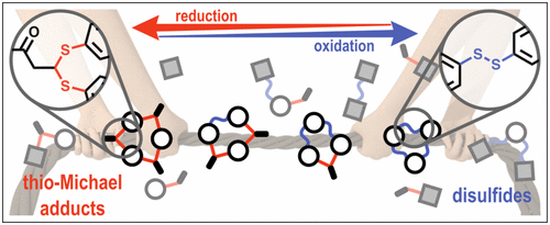 Antiparallel Dynamic Covalent Chemistries,Journal of the American ...