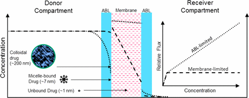 Development Of A Biorelevant, Material-Sparing Membrane Flux Test For ...