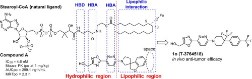 Scd Inhibitor Discovery of Novel and Potent Stearoyl Coenzyme A Desaturase 1 (SCD1 ...