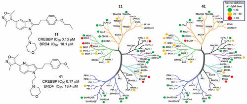 Crebp Structure-Based Design of Highly Selective Inhibitors of the CREB ...