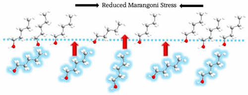 Effect of Under-Monolayer Adsorption on Foamability, Rheological ...