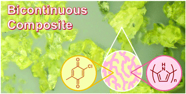 Hierarchical bicontinuous structure of redox-active organic composites ...