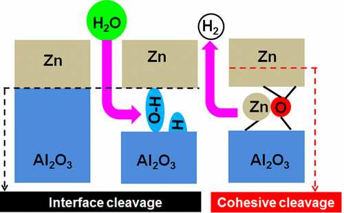 Tuning Adhesion At Metal/Oxide Interfaces By Surface Hydroxylation,The ...