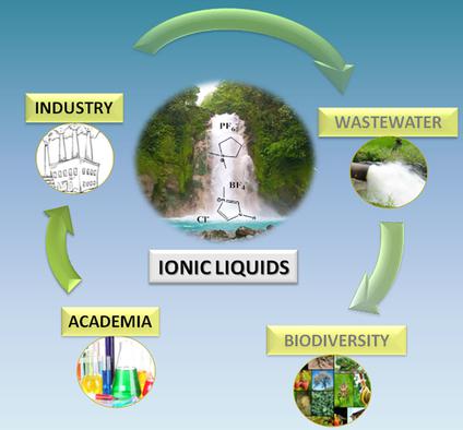 Environmental Impact Of Ionic Liquids: Recent Advances In (Eco ...