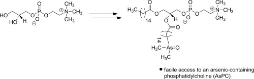 Synthetic access to arsenic-containing phosphatidylcholines,Tetrahedron ...