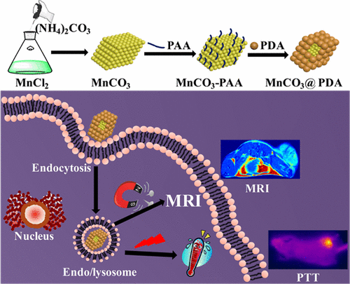 Pda Shell Polydopamine-Coated Manganese Carbonate Nanoparticles for Amplified ...
