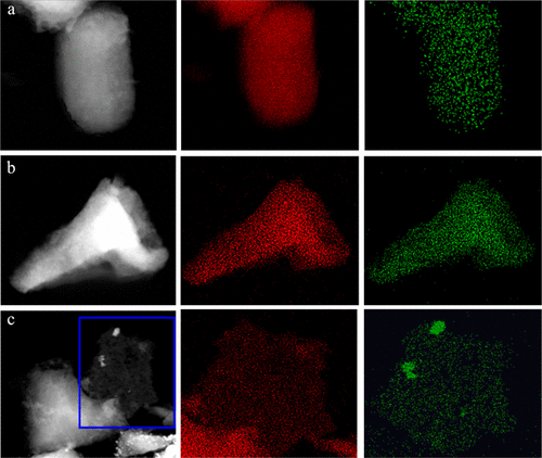Template-Mediated Ni(II) Dispersion in Mesoporous SiO2 for Preparation ...