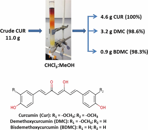 Extraction And Purification Of Curcuminoids From Crude Curcumin By A ...