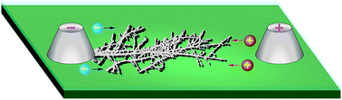 Sn和Sn焊料合金的电化学迁移：综述,RSC Advances - X-MOL