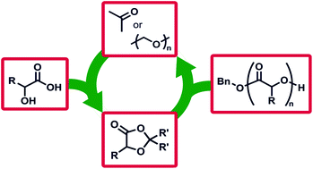 A Broad Scope Of Aliphatic Polyesters Prepared By Elimination Of Small Molecules From Sustainable 1 3 Dioxolan 4 Ones Polymer Chemistry X Mol