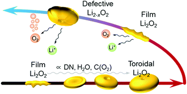 Reaction chemistry in rechargeable Li–O2 batteries,Chemical Society ...