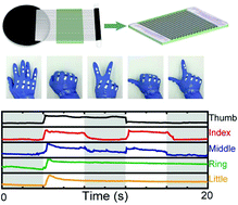 Flexible and transparent strain sensors based on super-aligned carbon ...