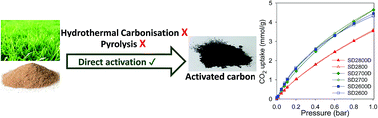 Biomass to porous carbon in one step: directly activated biomass for ...