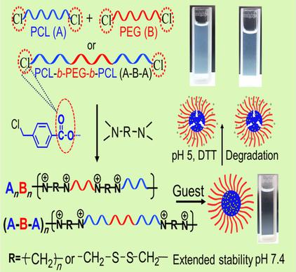 阳离子聚己内酯 聚乙二醇多嵌段共聚物的合成及多反应自组装chemistry A European Journal X Mol 