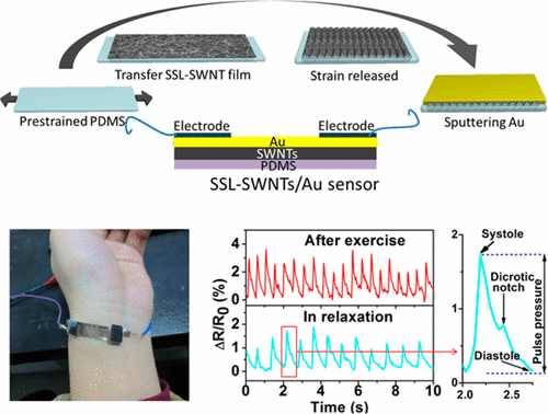 Highly Sensitive, Durable, and Multifunctional Sensor Inspired by a ...