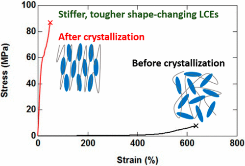 Tough, Shape-Changing Materials: Crystallized Liquid Crystal Elastomers ...